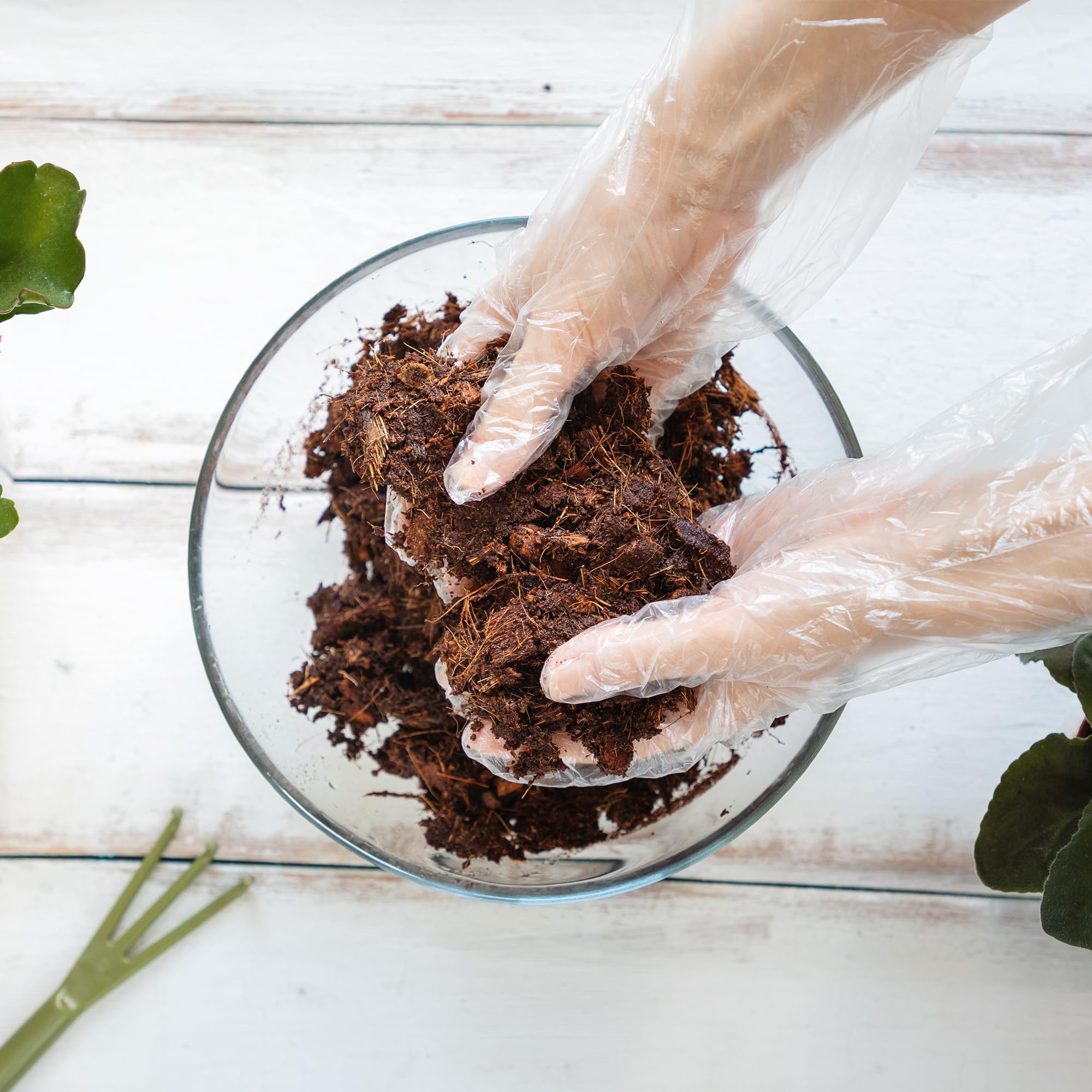 Amazon.com : GROW!T Organic Coco Planting Mix Block Outdoor Indoor